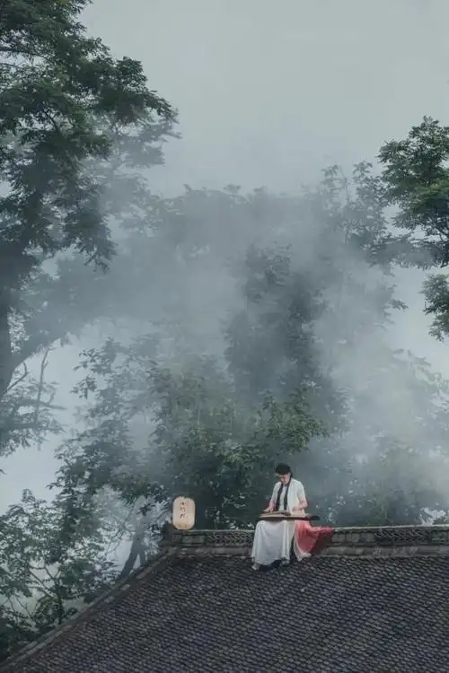 隐居乡里小竹林7月23日与您相约