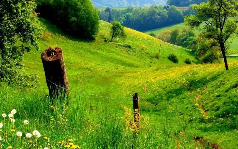 大自然清新唯美风景图片高清壁纸