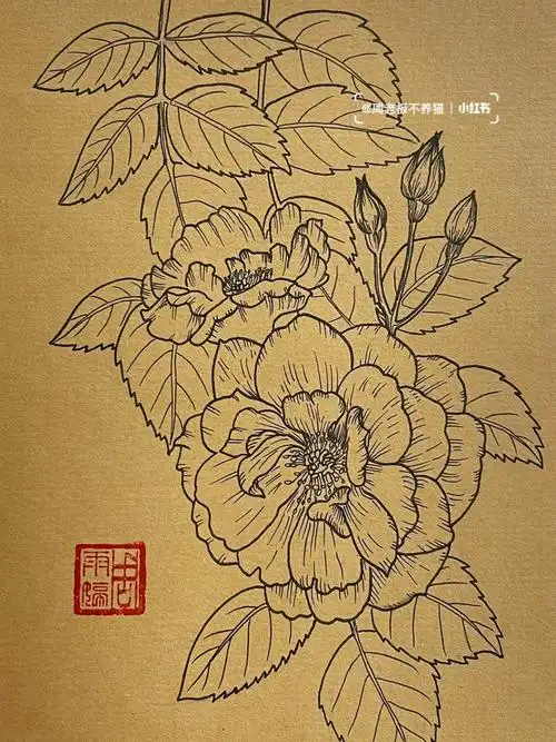 针管笔l线稿l蔷薇附过程29100