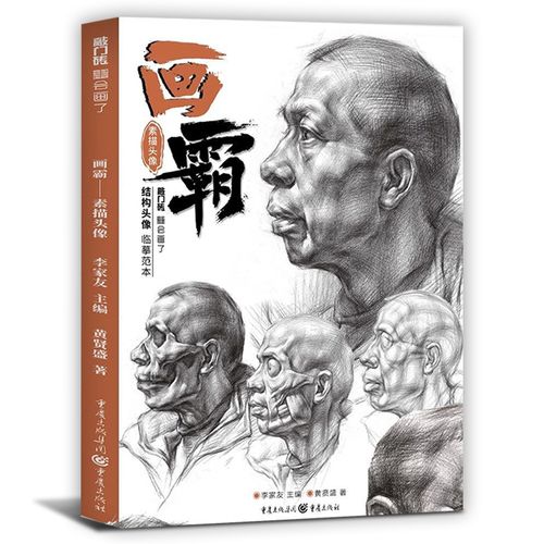 画霸素描头像结构头像临摹范本2020敲门砖黄贤盛人物五官头骨肌肉体块