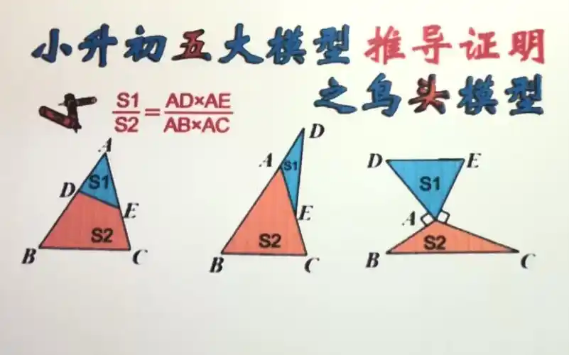 共角模型鸟头模型的推导与证明小升初奥数必会知识点