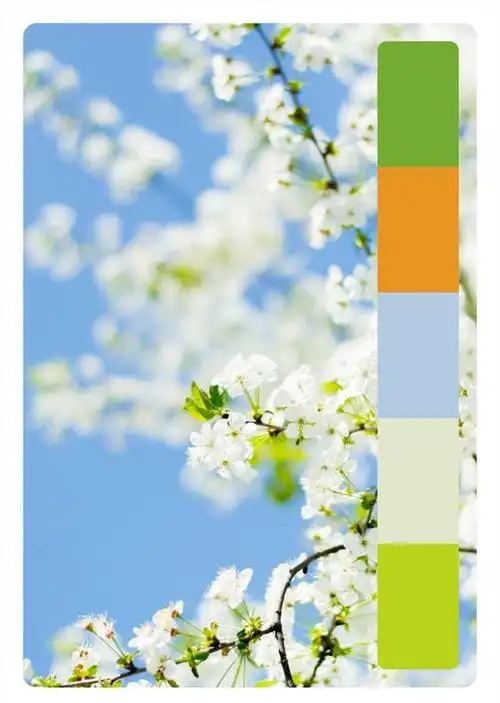 属于这个春天的色彩搭配