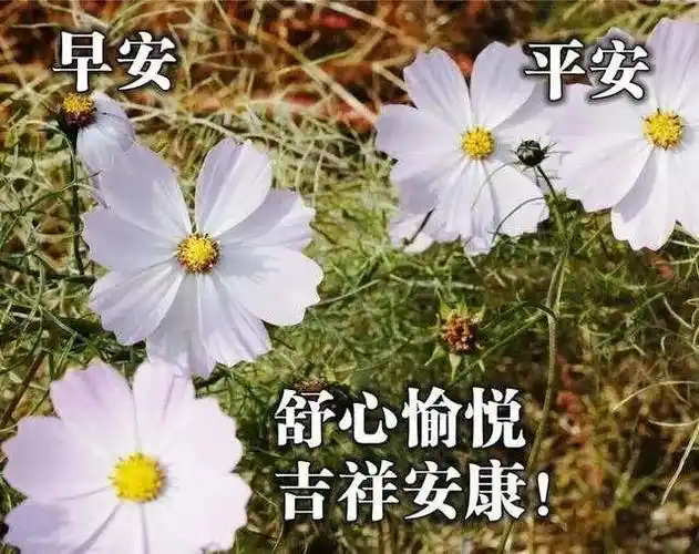 2021最美的早上好祝福语图片早安暖心的问候语精选