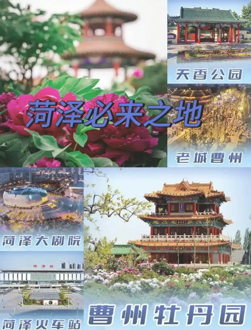 98探索单县浮龙湖的宁静之美91 0969♂15单县浮龙湖,大自然