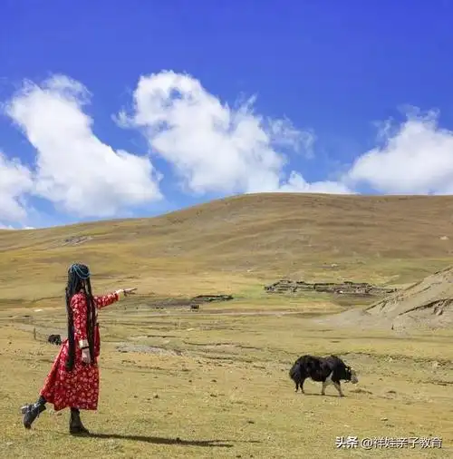 蒙古獒与藏獒的区别在哪里