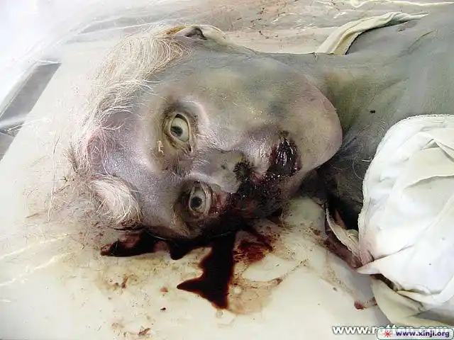 (爱做噩梦着勿入!