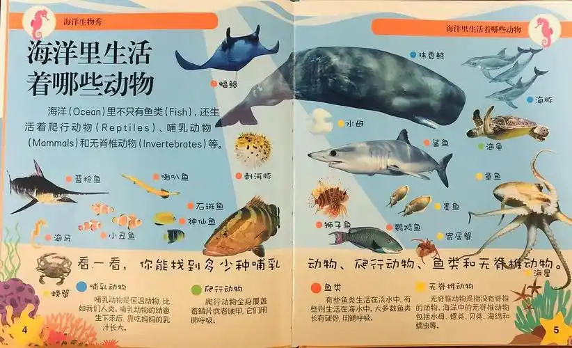 《海洋生物秀》开篇告诉我们海洋里生活着哪些生物,并且按照哺乳动物