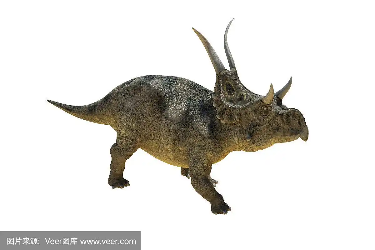 3d插图的双角龙恐龙在白色的背景
