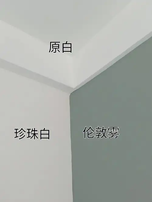 立邦乳网红色冷门色