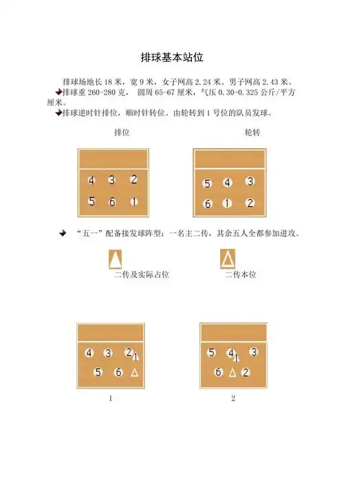 排球基本站位
