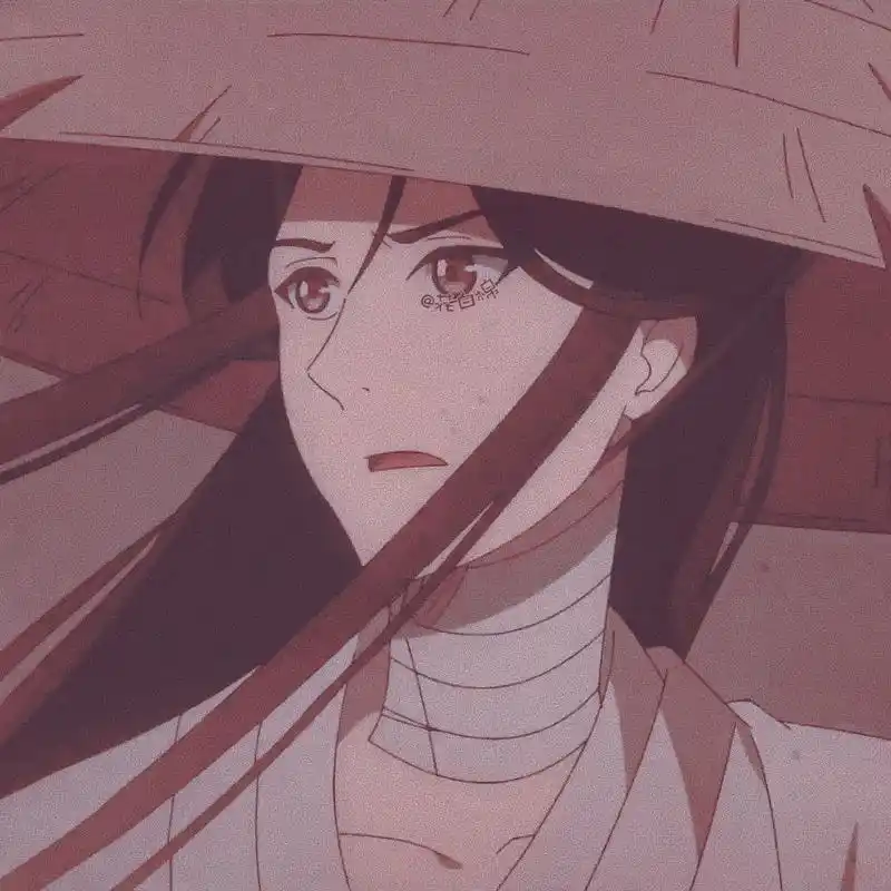 「第135期」动漫男头:天官赐福 谢怜二次元男生头像