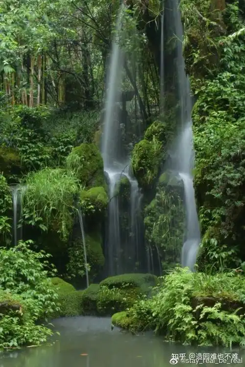 894_1341竖版 竖屏