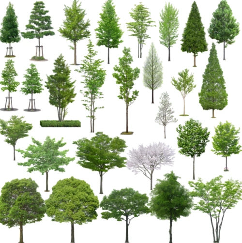 高清园林树木ps素材(1~5)