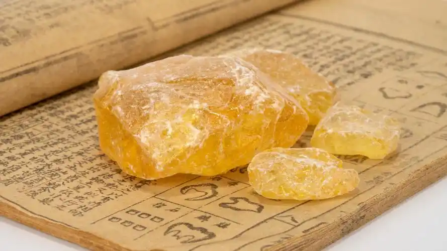 松脂球变成化石的四个条件都是什么