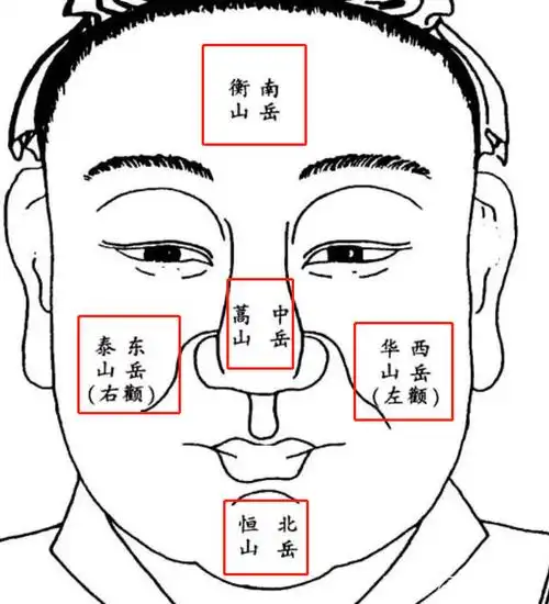 面相开运:你是什么脸型?如何正确修饰以提升面部规格?-星座123