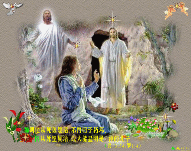 690_546gif 动态图 动图