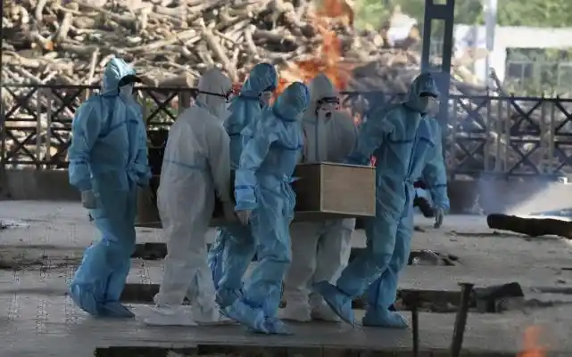 印度隐瞒疫情真相害了全世界25万民众请求回中国钟南山发声