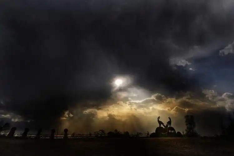 乌云密布,却有一缕阳光打出,撒在用花丛做的一对凤凰身上.