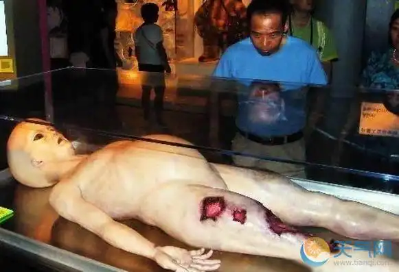 外星人竟是人造产物?美51区工程师揭秘外星人真实身份