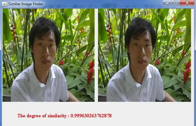 java基于直方图应用的相似图片识别实例