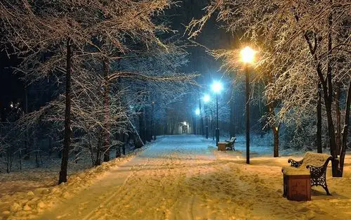 唯美冬日雪景野外意境图片壁纸