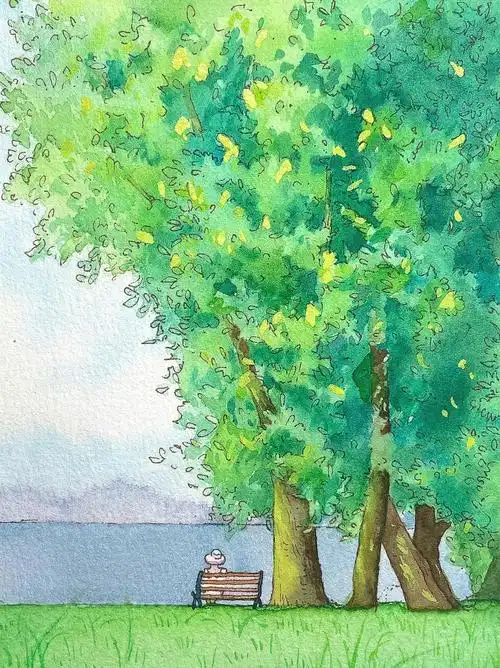 钢笔淡彩阳光下的大树夏天的味道