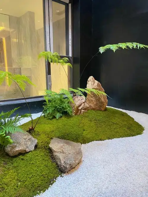 天井枯山水造景一景观造景