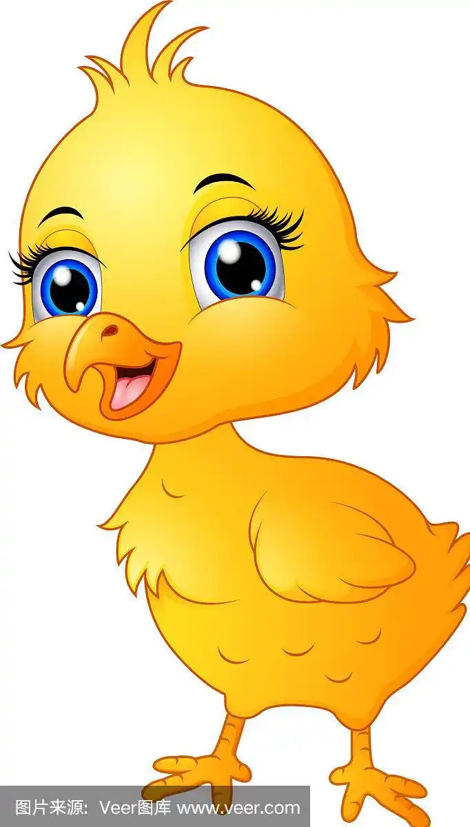 可爱的小鸡卡通