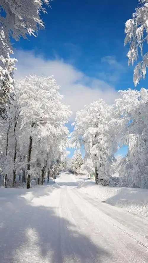 4,形容冬天下雪伤感的句子1 1一个人走在漫无边际的大雪里,说不出是