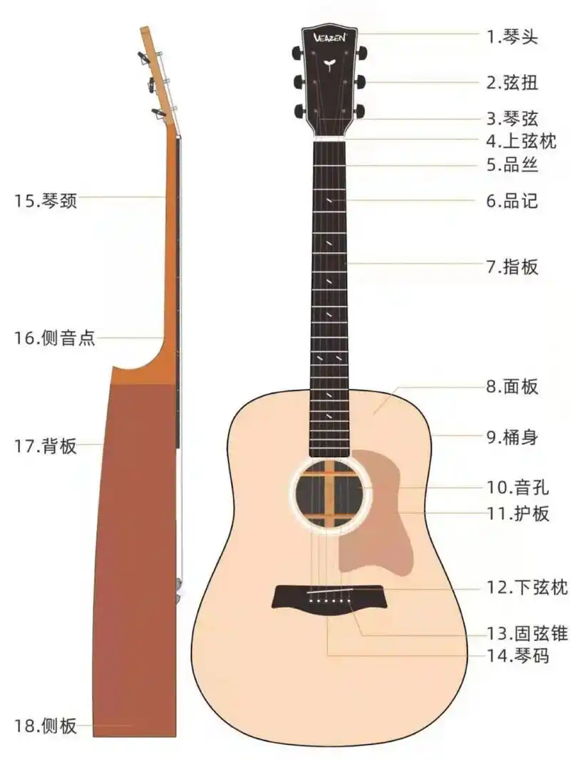 超级详细97民谣吉他各部位构造及含义图解 哈喽!