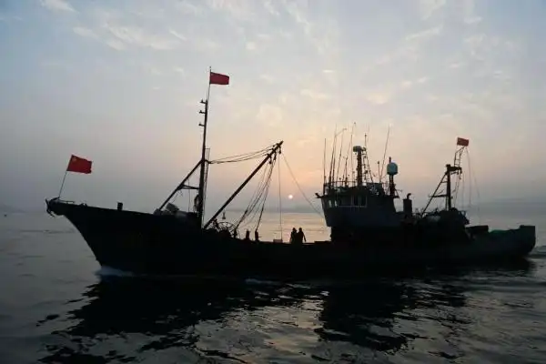 开渔以来,山东省青岛市各渔港陆续迎来满载而归的渔船,渔港和码头一派