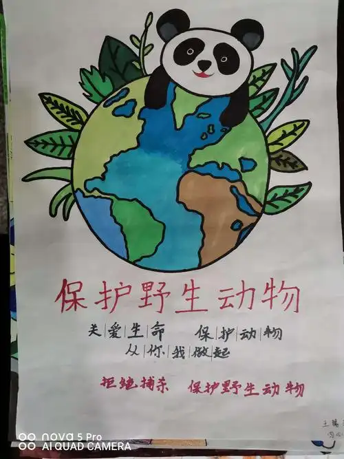 保护野生动物 从我做起——阿拉尔中学李红霞