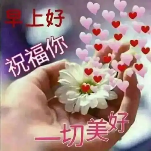特漂亮的微信早晨好问候图片表情 最新群发漂亮早晨好问候语动_祝福