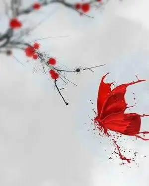 飞蛾扑火的亘古不变