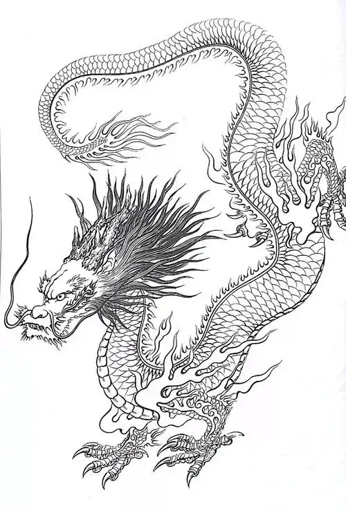 美术作品白描画稿中国龙