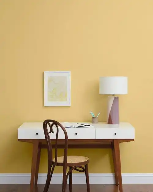 2021年最热门的5种墙面流行色津色色彩