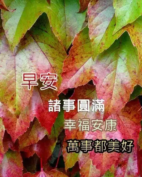 8张最新创意免打字聊天早安图片精选 秋天唯美早上好问候祝福图片带字
