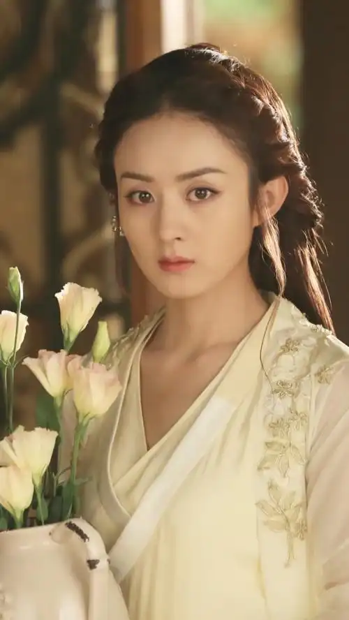 赵丽颖 特工皇妃楚乔传