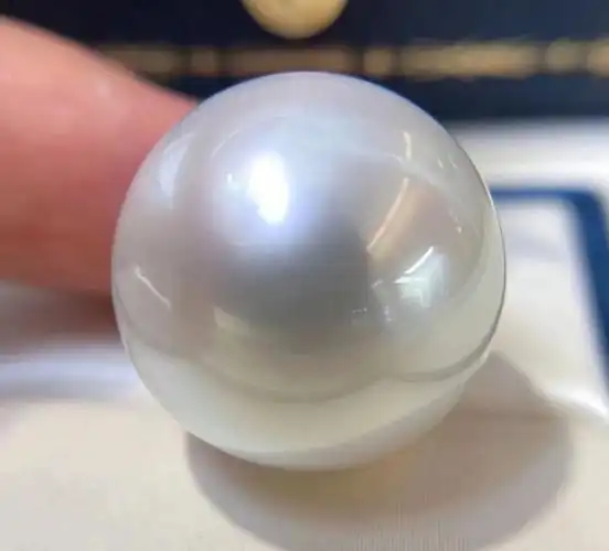 可遇不可求的巨无霸大澳白珍珠