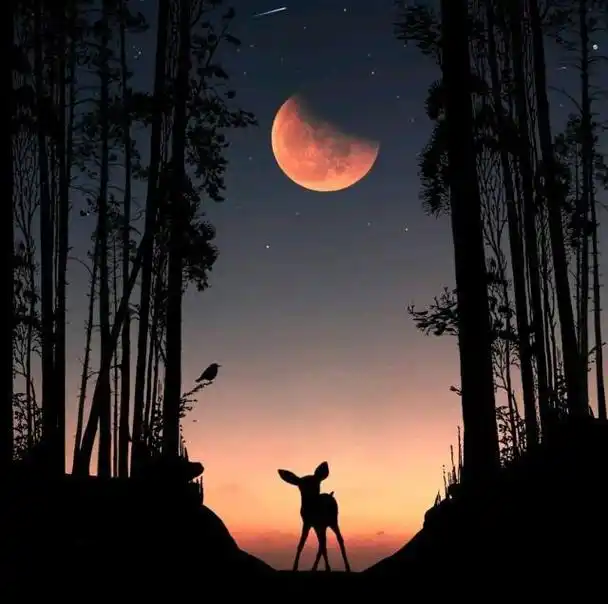 让人折服的心灵鸡汤语录句句经典深度好文