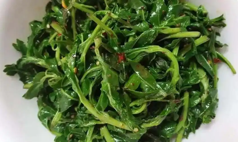 鲜嫩中泛着青涩的清炒枸杞头 08网络