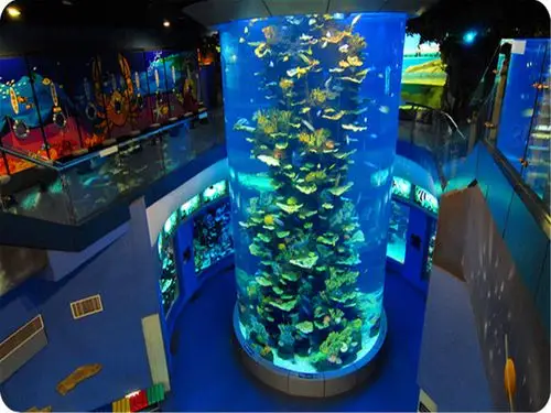 青岛啤酒博物馆-德国总督府旧址-小鱼山-栈桥-五四广场-崂山仰口2