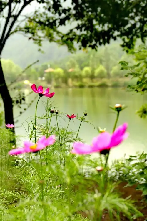 绿水青山皆妙趣……玉渡山