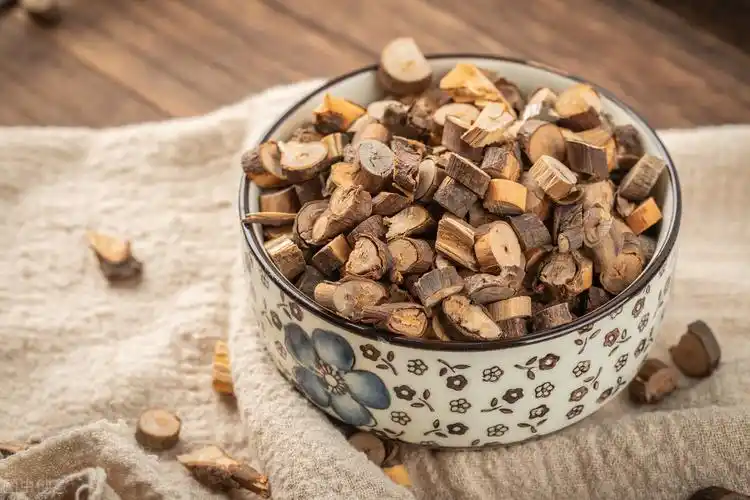 桂枝的功效与作用桂枝临床新用