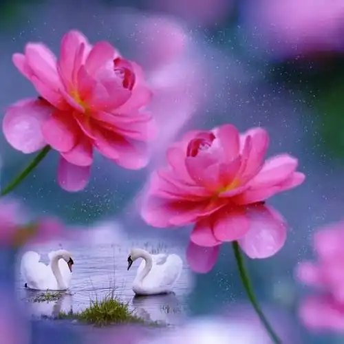 头像适合女人唯美微信头像