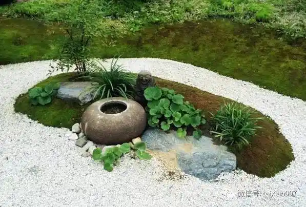 禅意苔藓庭院_景观