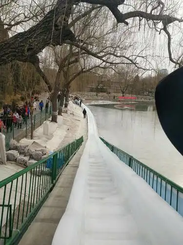 我们来到了北京著名的陶然亭公园,街道上张灯结彩,喜气洋洋.