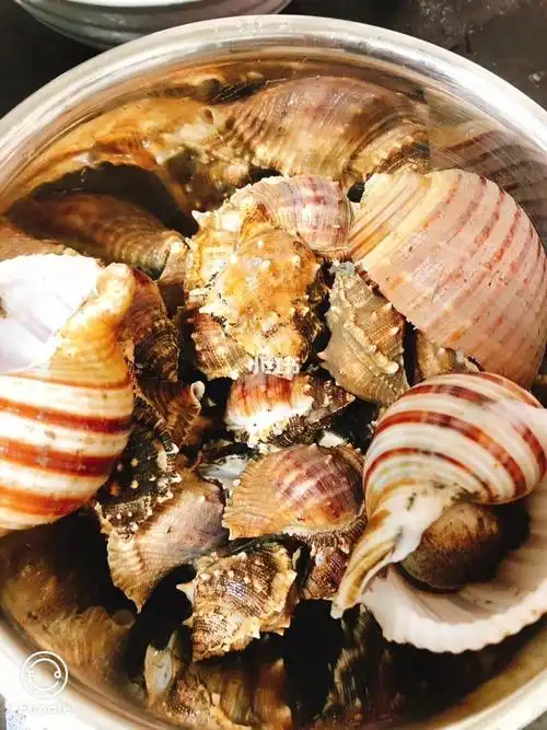 好大的螺男朋友顺下不去嘴