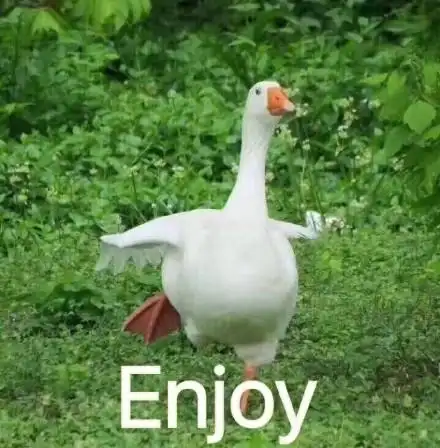 这个秋天,我想和你去看泽州关帝庙的红豆杉,还有