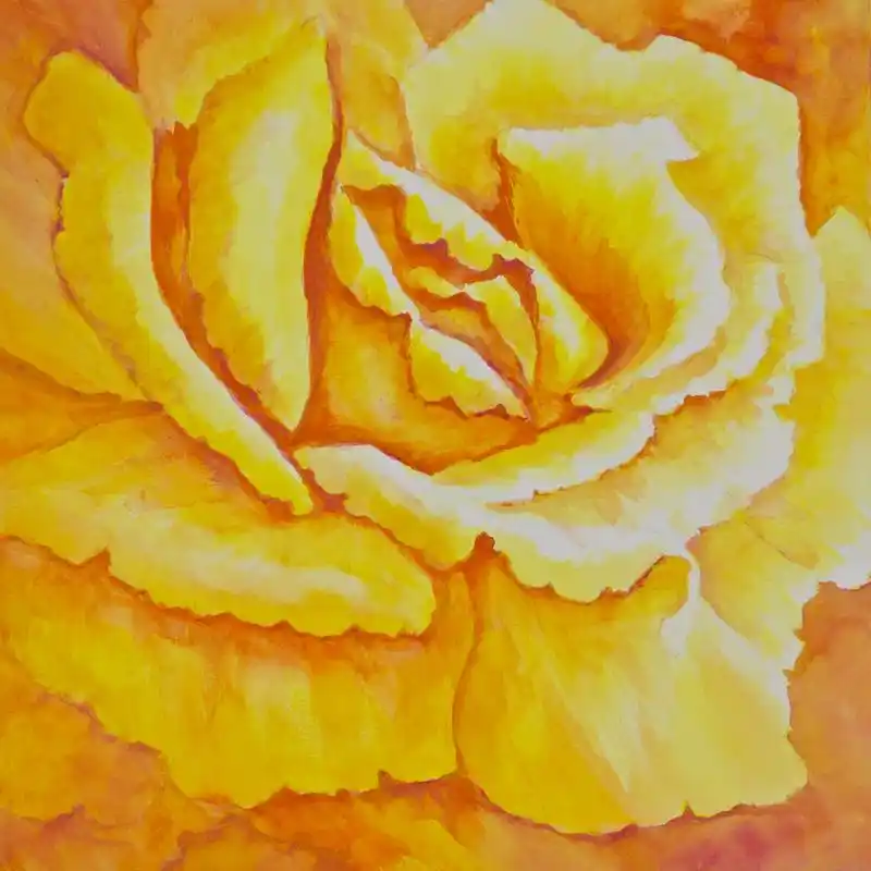 黄玫瑰,到一幅水彩画的灯打开带有底纹的橙色,一朵黄玫瑰.